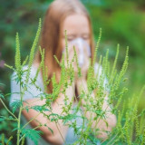 What Are Ragweed Allergies and What Can I Do About It?