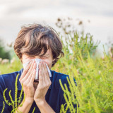 What to Know About Ragweed Allergies